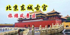 插B无遮挡中国北京-东城古宫旅游风景区